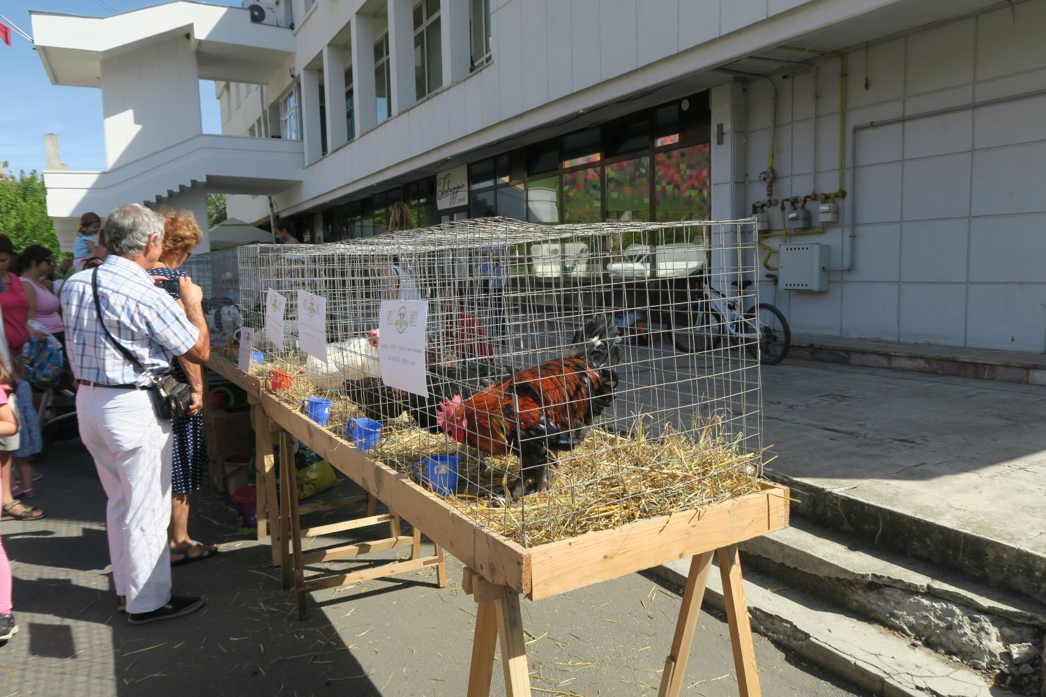 Egy nap falu a városon - Teltház az Agrofeszten