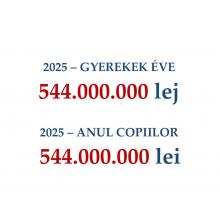 Copiii în centrul atenției – a fost adoptat bugetul județului pentru anul 2025